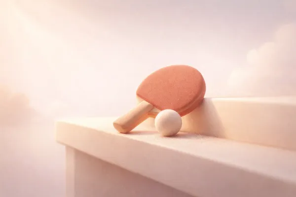 Stop Buying Ping Pong Tables